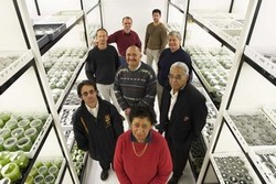 group